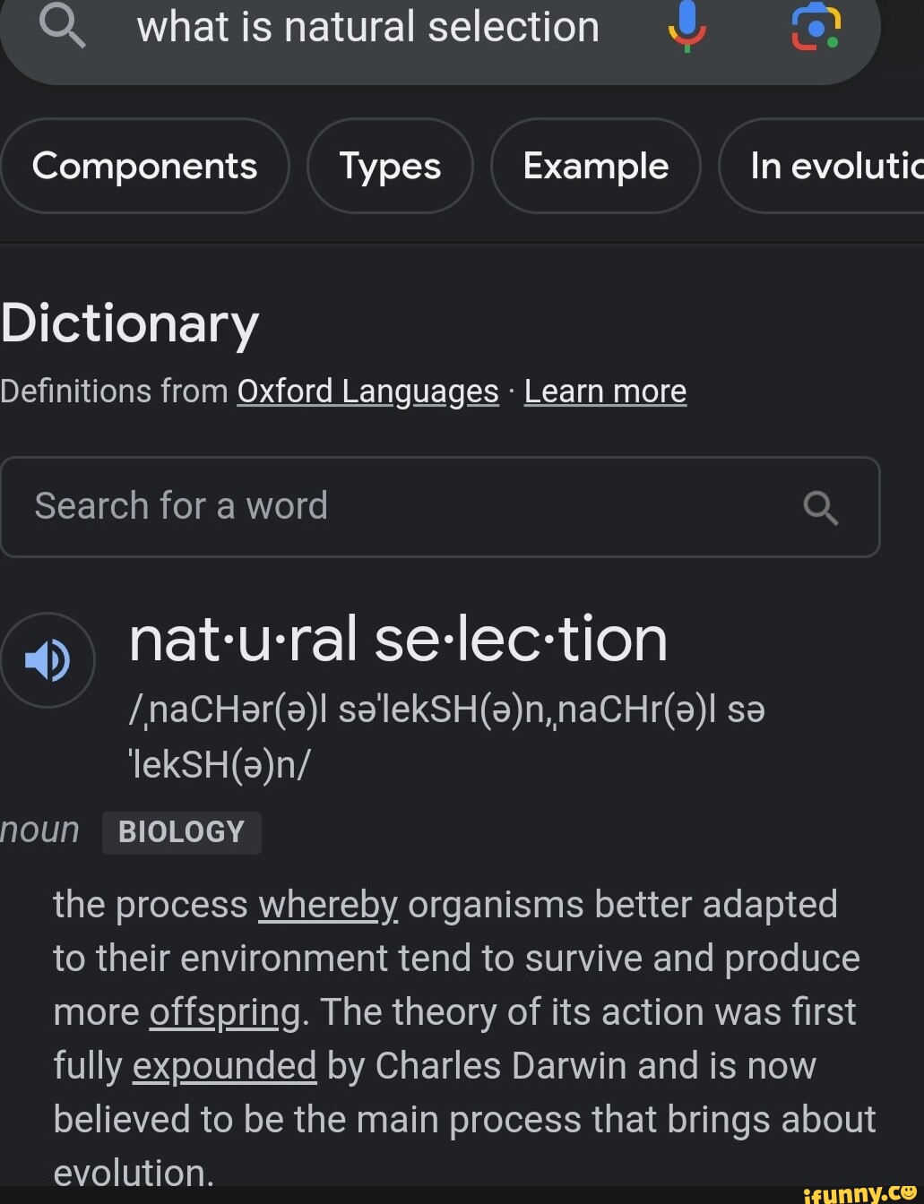 Dictionary categories with example words (defined in later steps)