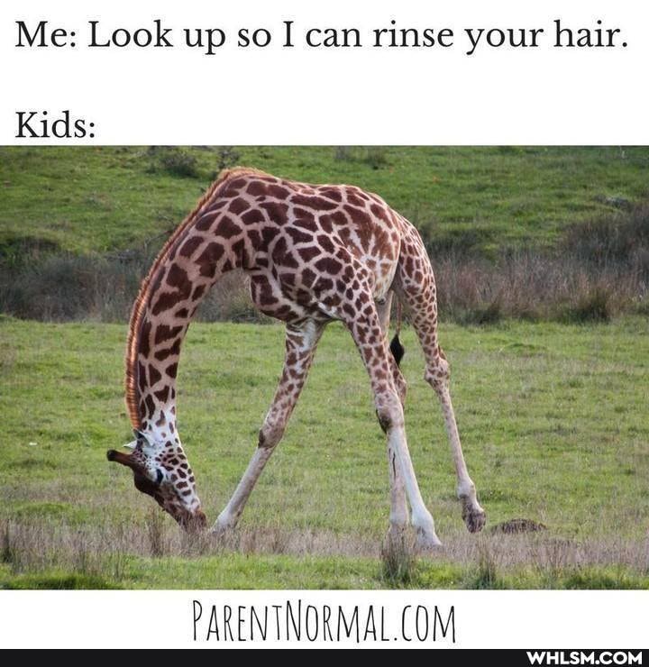 Me: Look up so I can rinse your hair.
Kids:
DAREMTTNAQKAAL COM