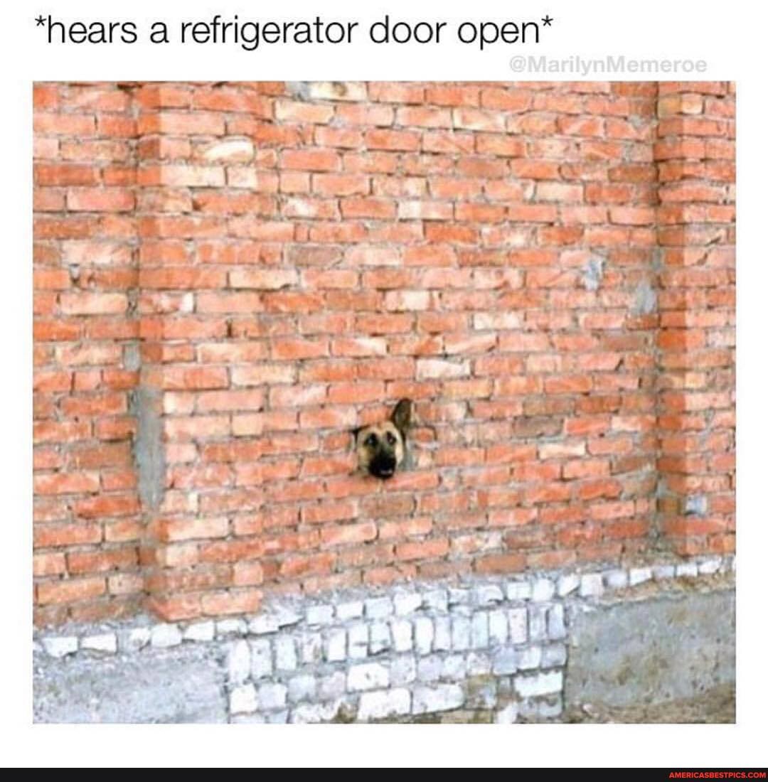 "nears refrigerator door open*
@MarilynMemeroe