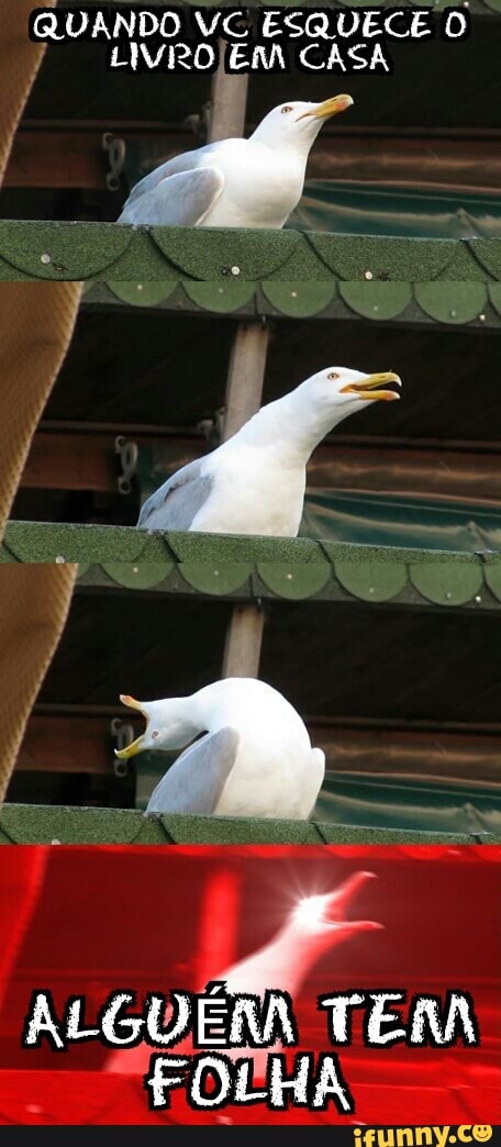 QUANDO VG ESQUECE O
