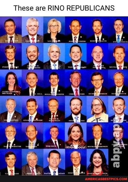 These are RING REPUBLICANS
Woof af