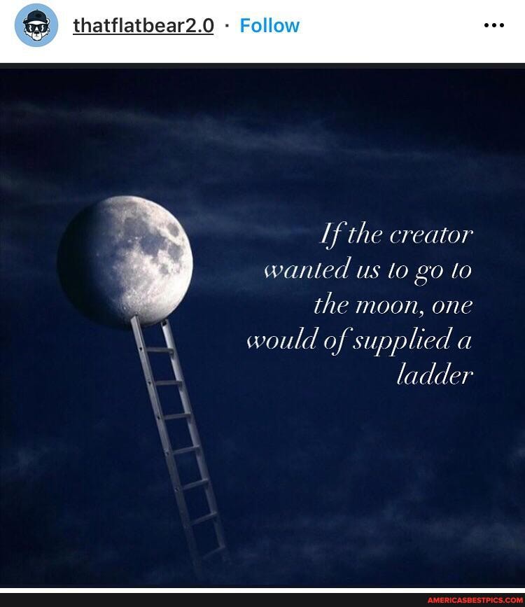 thatflatbear2.0 - Follow
/f the creator wanted us to to the moon, one would of supplied a ladder
