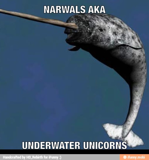UNDERWATER UNICORNS
