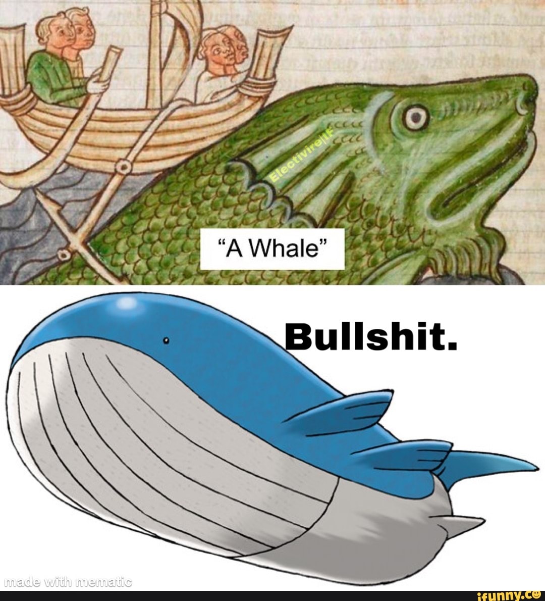 electivireoc, mrcaptions, features, tumblr, 4chan, comic, spicy, thenew10, memesdaily, 10at10, pokemon, nintendo