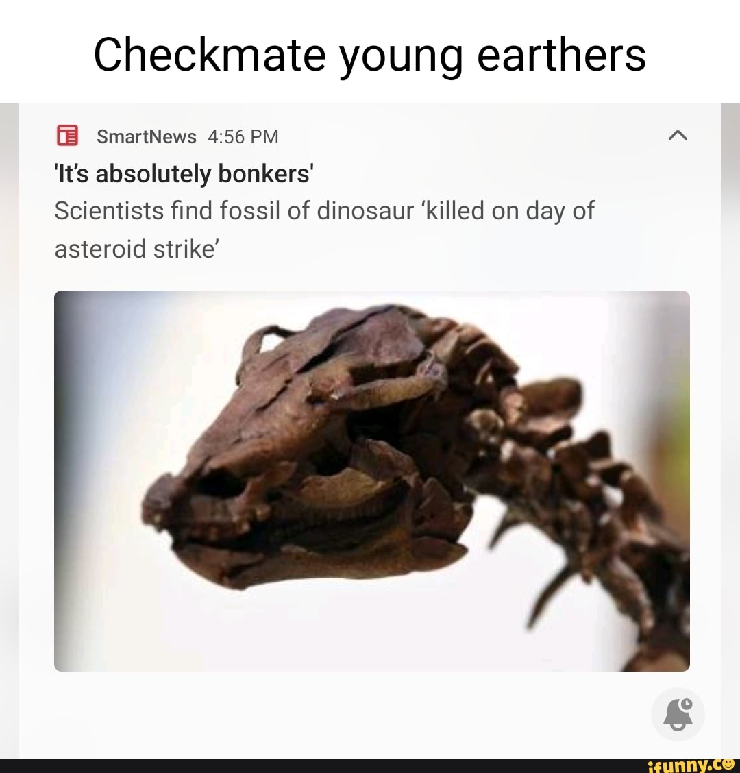 Checkmate young earthers (B SmartNews PM 'It's absolutely bonkers
