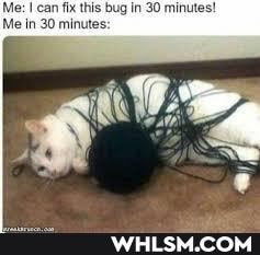 Me: I can fix this bug in 30 minutes!
Me in 30 minutes: