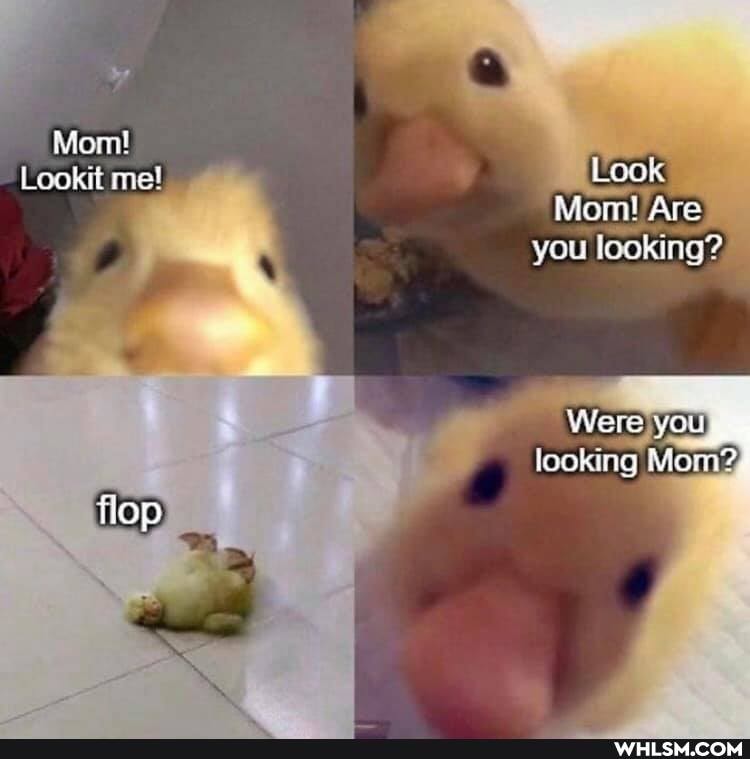 Mont!
Leo me! Look
Mom! Are you looking?
Were you looking Mom?
flop