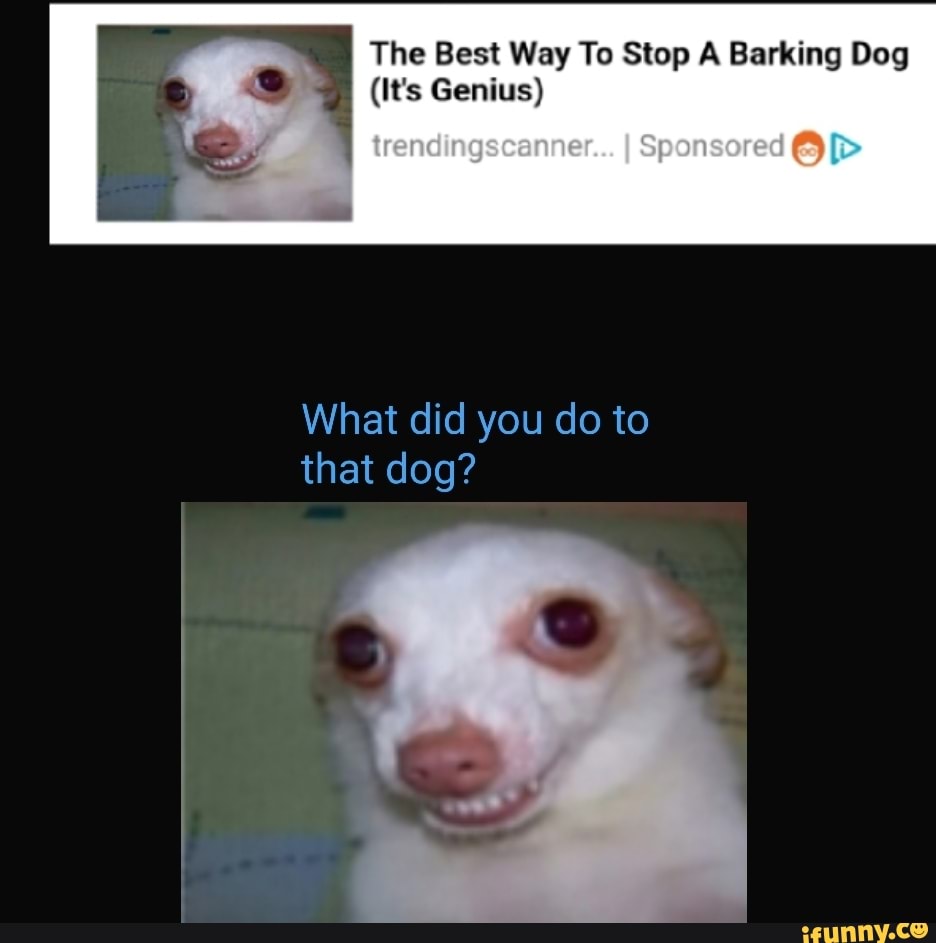 Best way to stop a barking dog it's genius Clearance