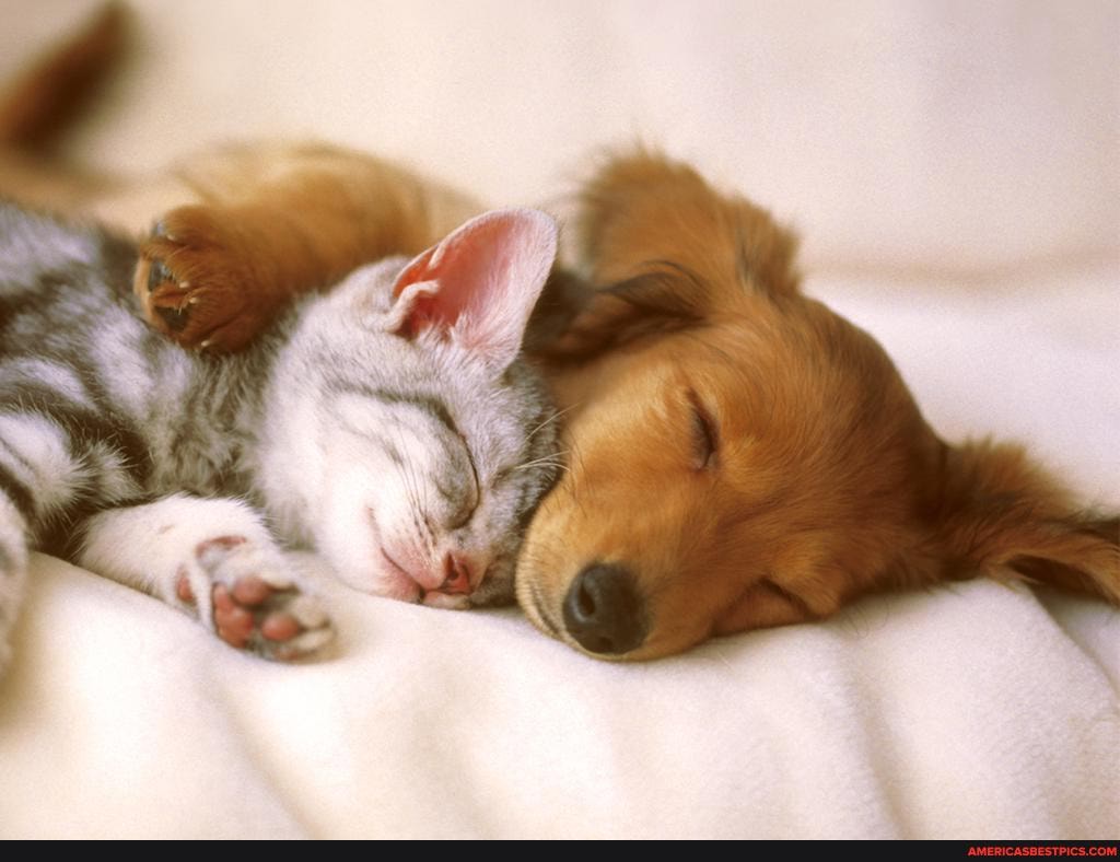 thats, called, unconditional, love