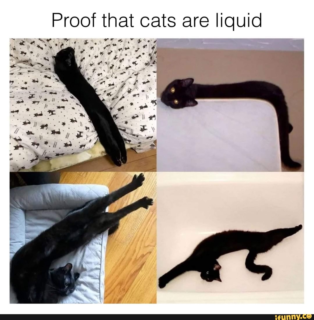 Proof that cats are liquid