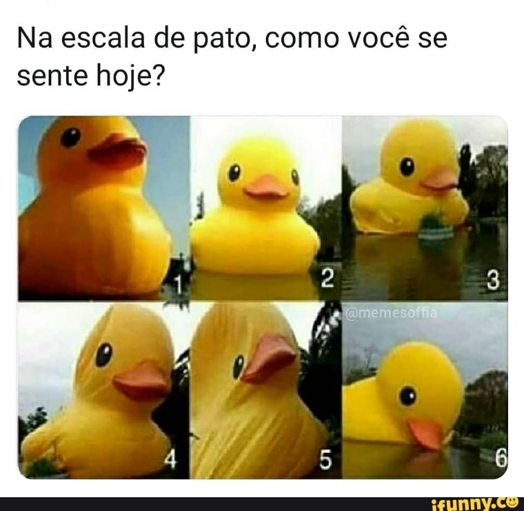 Na escala de pato, como você se sente hoje?