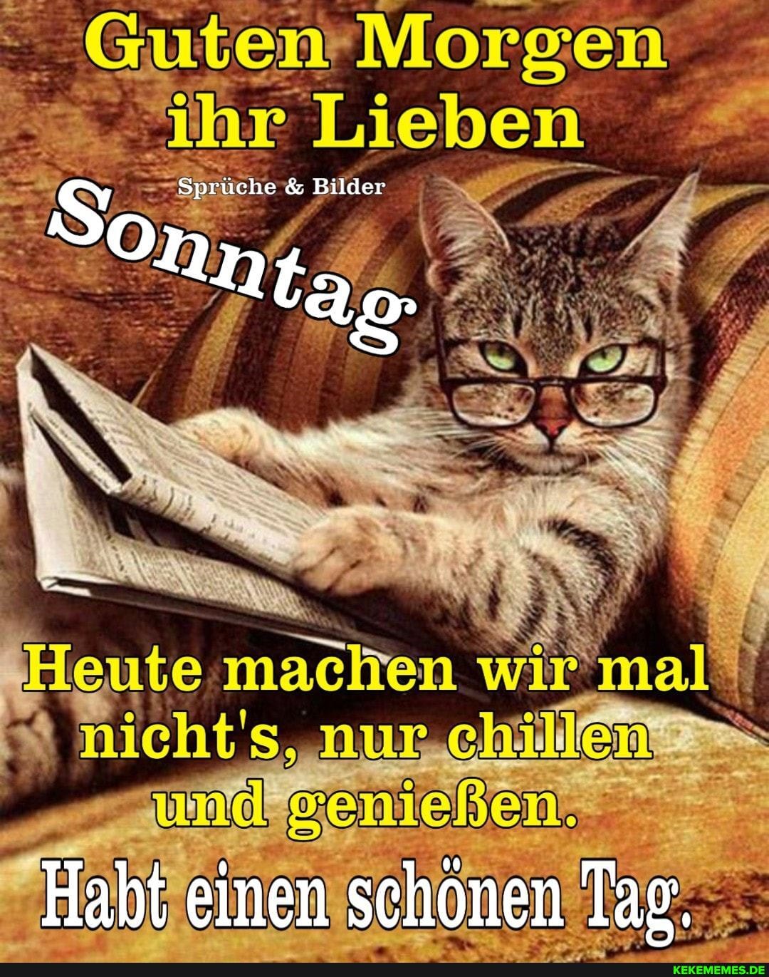 S Sprüche & Bilder
O n n tao.
Habt ei einen schönen Tag.
