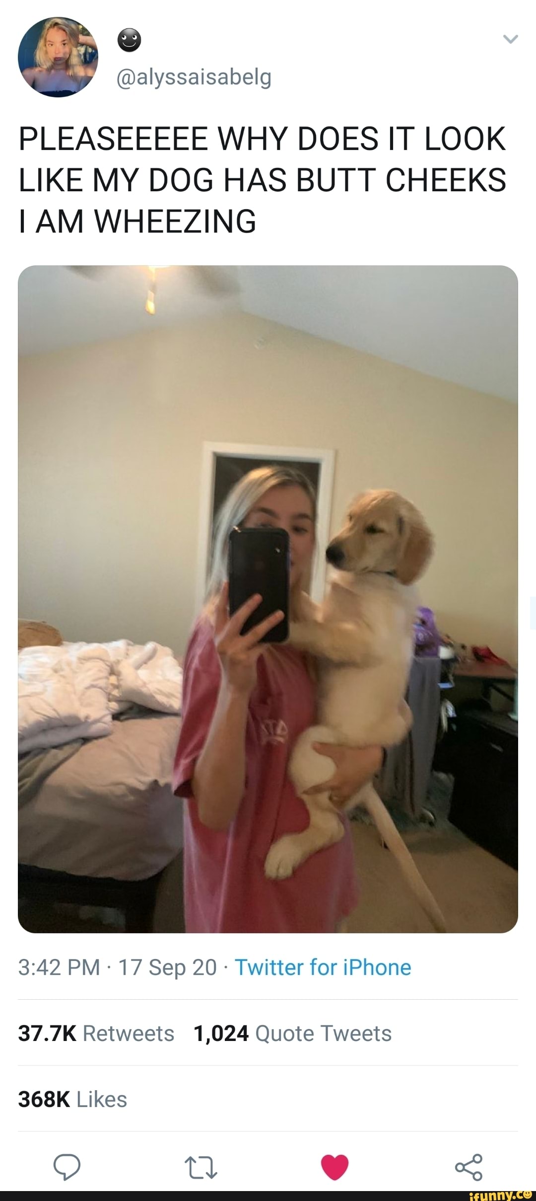 Galyssaisabelg
PLEASEEEEE WHY DOES IT LOOK LIKE MY DOG HAS BUTT CHEEKS I AM WHEEZING
PM 17 Sep 20 - Twitter for iPhone
37.7K Retweets 1,024 Quote Tweets
368K Likes
td