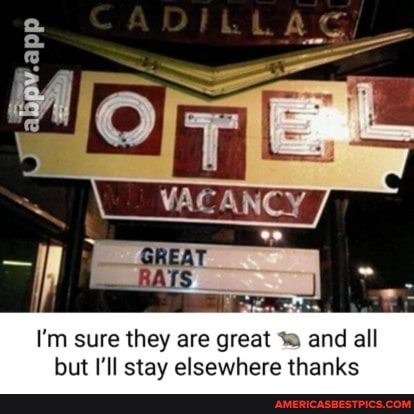 I'm sure they are great and all but I'll stay elsewhere thanks