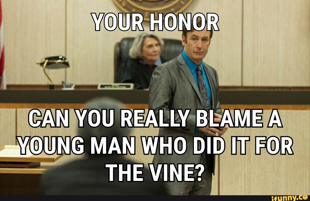 YOUR HONOR CAN YOU REALLY BLAME A YOUNG MAN WHO DID IT FOR THE VINE