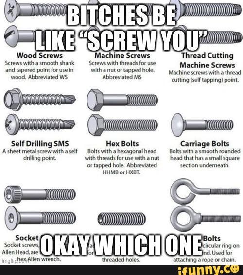 Wood Screws Machine Screws Thread Cutting Screws with asmooth shank