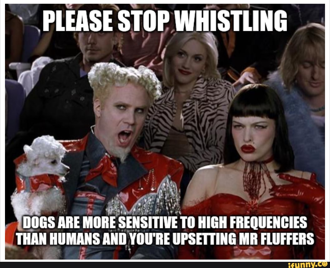 PLEASE STOP WHISTLING DOGS ARE MORE SENSITIVE TO HIGH FREQUENCIES THAN