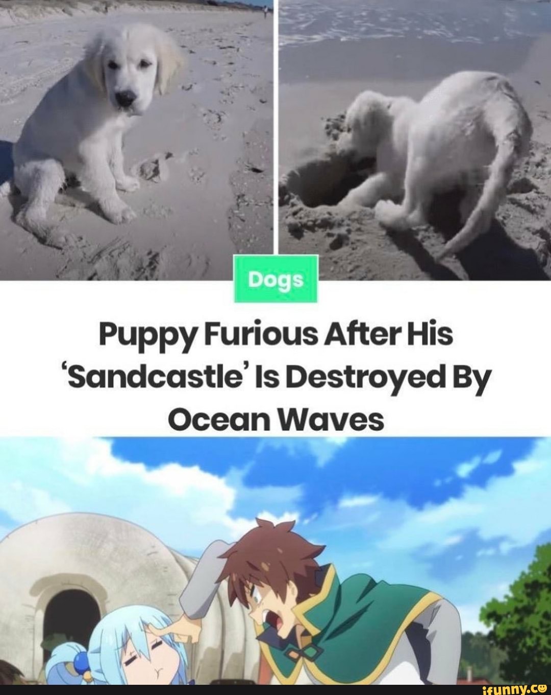 ego
Puppy Furious After His
'Sandcastle Is Destroyed By
Ocean Waves