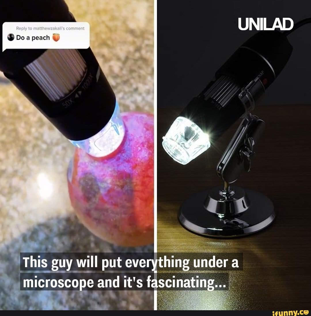 Peach This guy will put everything under a microscope and it's ...