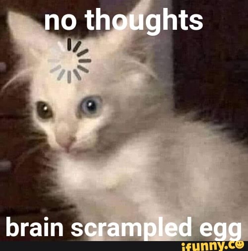 No Thoughts Brain Scrampled Egg