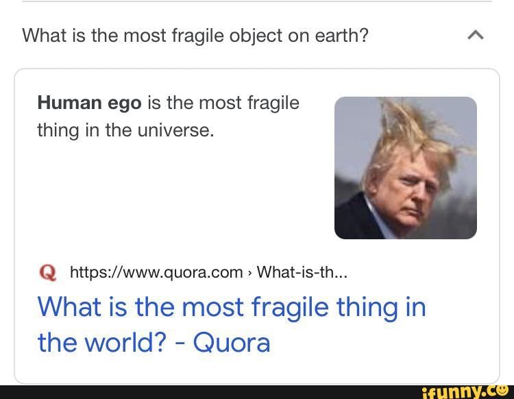 What is the most fragile object on earth? Human ego is the most fragile