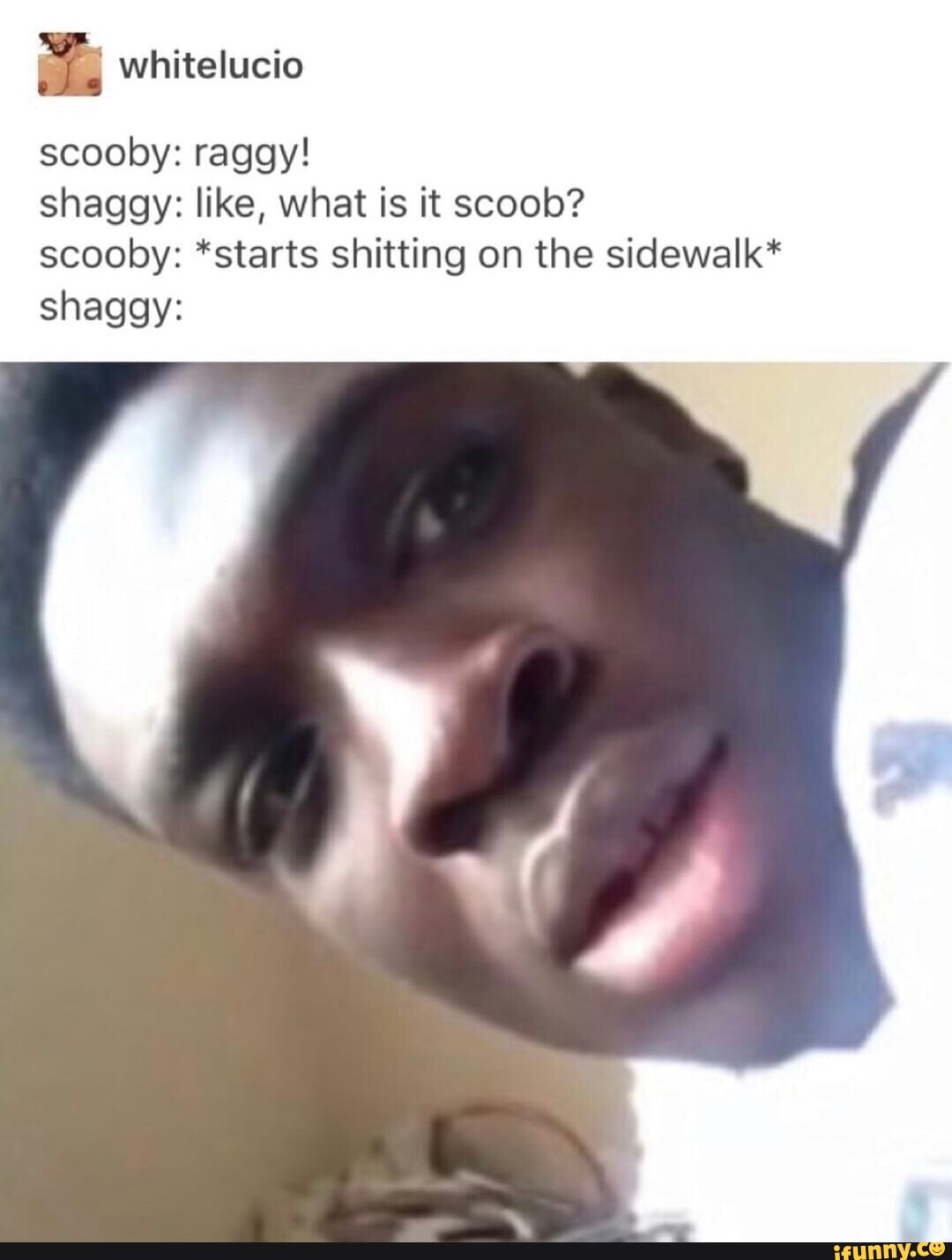 Scooby raggy! shaggy like, what is it scoob? scooby *starts shitting