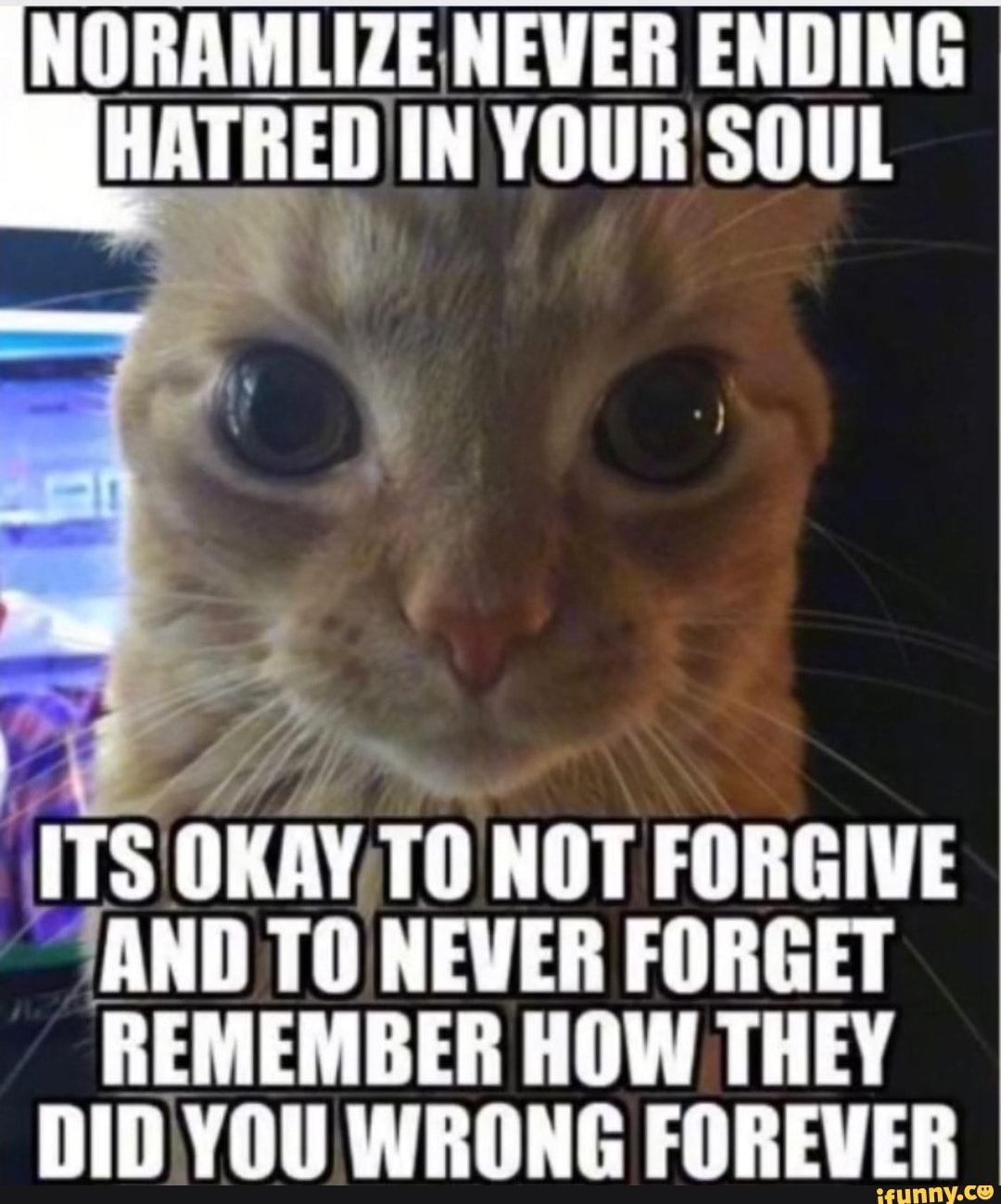 noramlize-never-ending-hatred-in-your-soul-its-okay-to-not-forgive-and