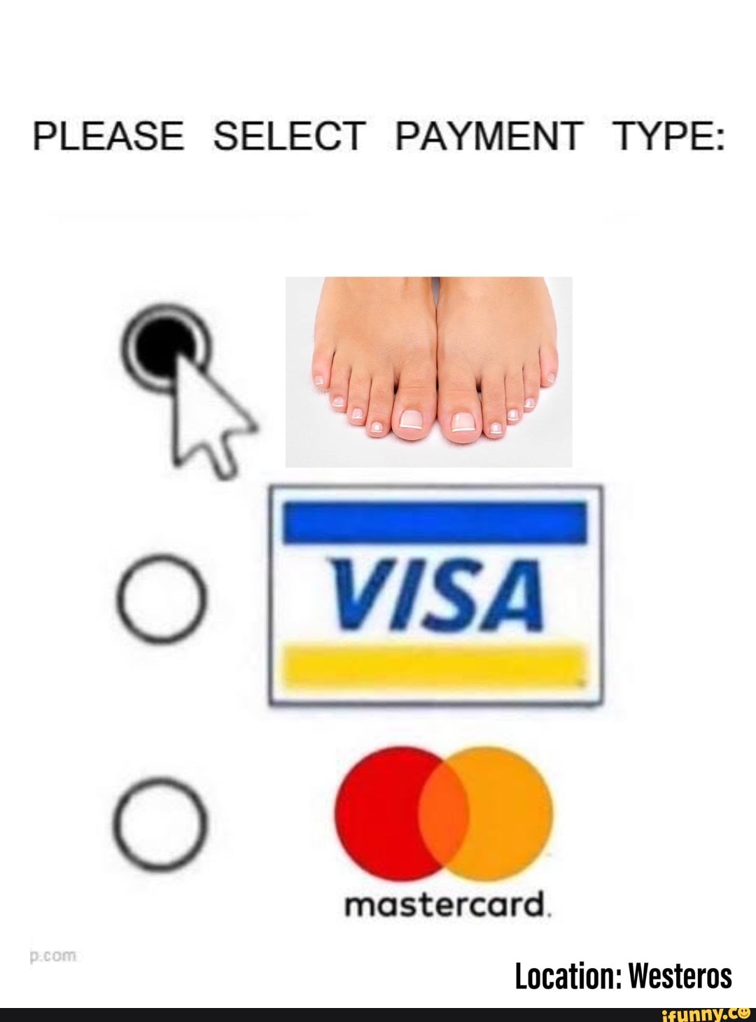 PLEASE SELECT PAYMENT TYPE: VI I VISA mastercard. Location: Westeros ...
