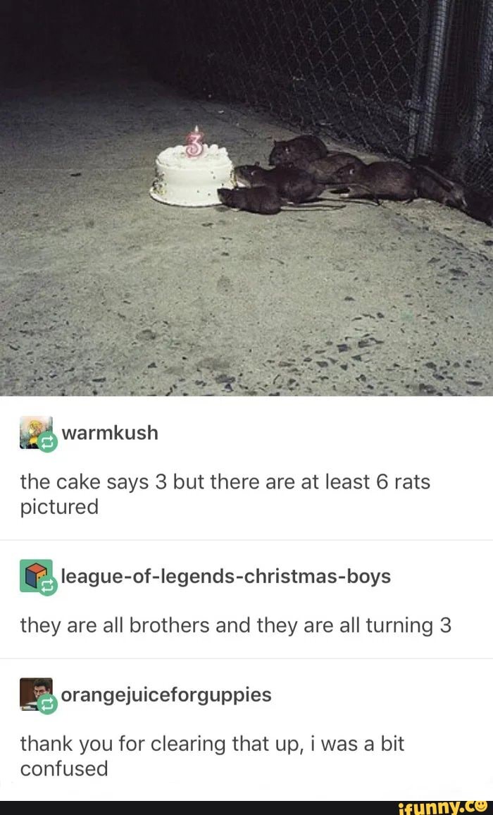 the cake says 3 but there are at least 6 rats pictured
they are all brothers and they are all turning 3
orangejuiceforguppies
thank you for clearing that up, i was a bit confused