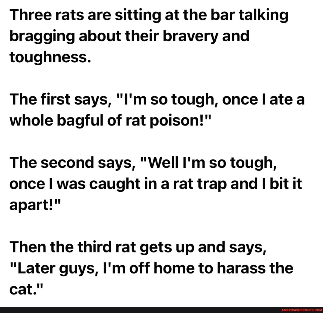Three rats are sitting at the bar talking bragging about their bravery and toughness.
The first says, "I'm so tough, once I ate a whole bagful of rat poison!"
The second says, "Well I'm so tough, once was caught in a rat trap and I bit it apart!"
Then the third rat gets up and says,
"Later guys, I'm off home to harass the cat."