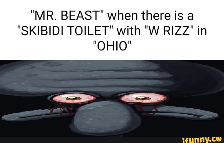 Mr Beast From Ohio #mrbeast #memes #ohio 