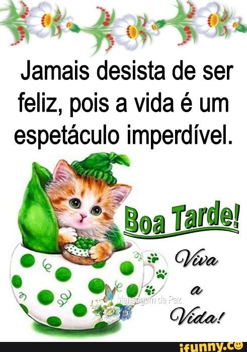 Jamais desista de ser
feliz, pois a vida é um espetáculo imperdível.