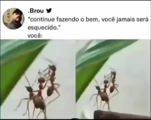 O PRIMEIRO JAMAIS SERÁ ESQUECIDO! 