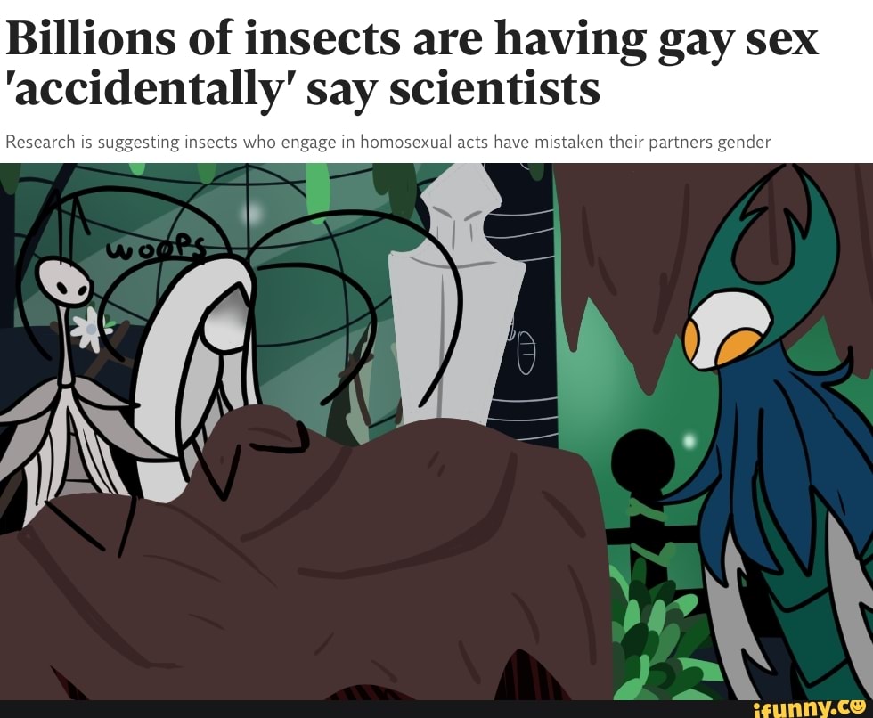 Billions of insects are having gay sex
'accidentally' say scientists
s
who en: ymosexual acts have mistaken their partners gender