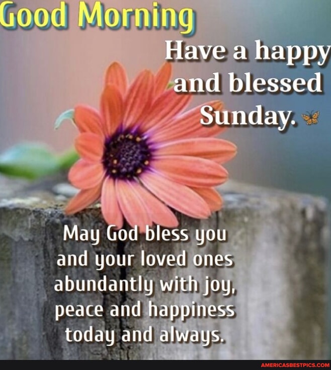 Good Morning Have a happy and blessed Sunday. May God bless you and ...