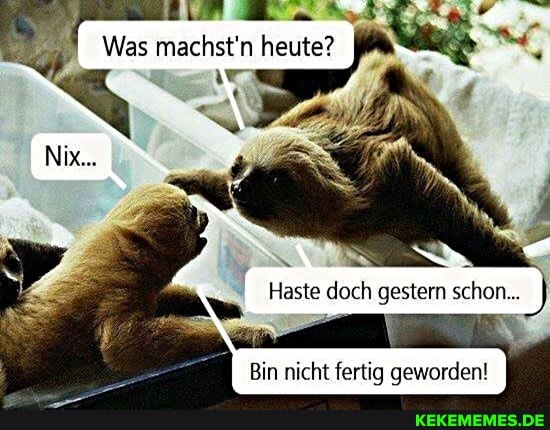 Was machst'n heute?
Nix...
Haste doch gestern schon
Bin nicht fertig geworden!