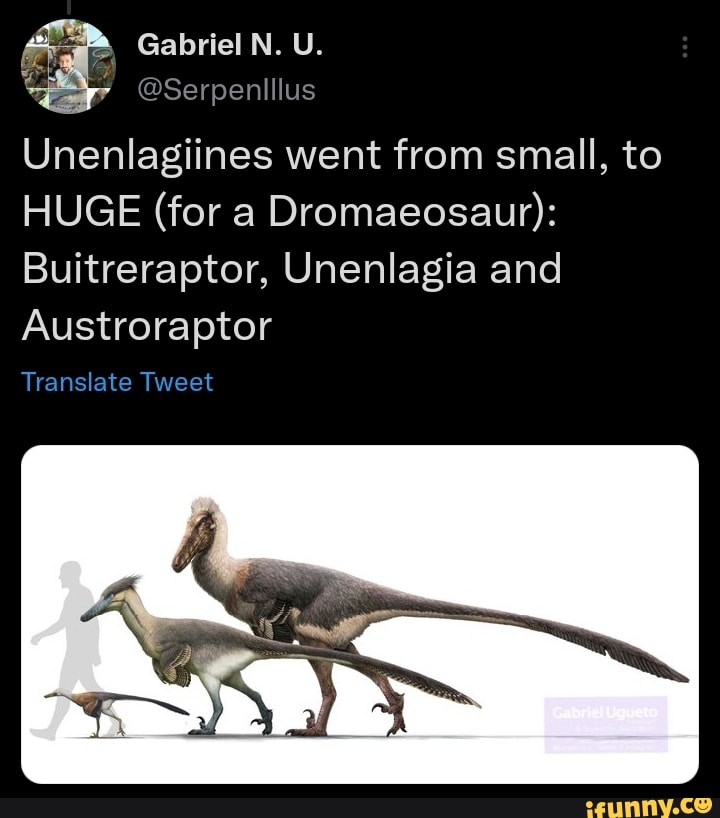 buitreraptor