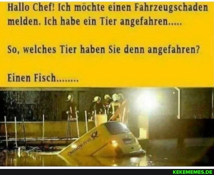 Hallo Chef! Ich möchte einen Fahrzeugschaden melden, Ich habe ein Tier angefahren...
So, welches Tier haben Sie denn angefahren?
Einen Fisch........