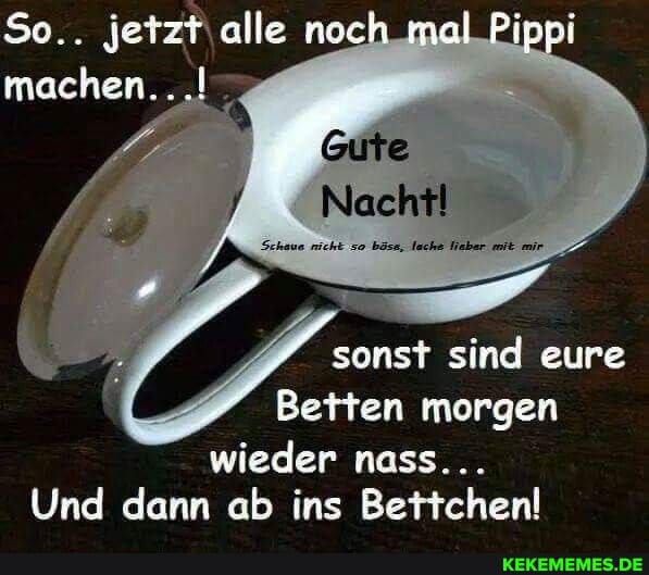 alle noch mal _Pippi
machen...
\ Naehfil
sonst sind eure
Betten morgen wieder nass...
Und dann ab ins Bettchen!
