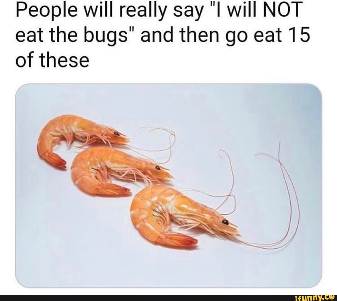People will really say will NOT eat the bugs" and then go eat 15 of these
Shes