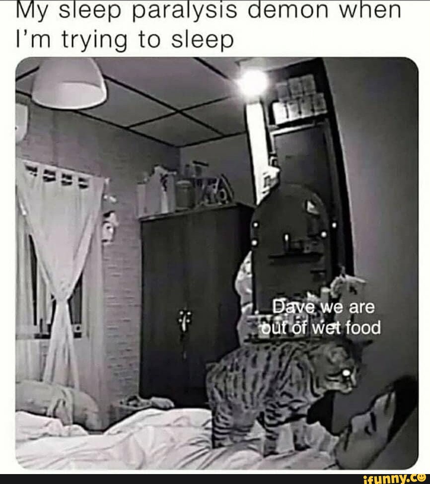 My sleep paralysis demon wnen I'm trying to sleep Dave we are out Wet