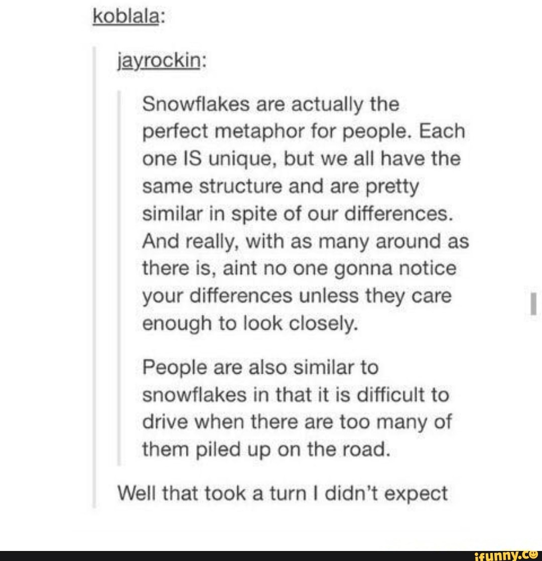 Koblala: jayrockin: Snowflakes are actually the perfect metaphor for ...