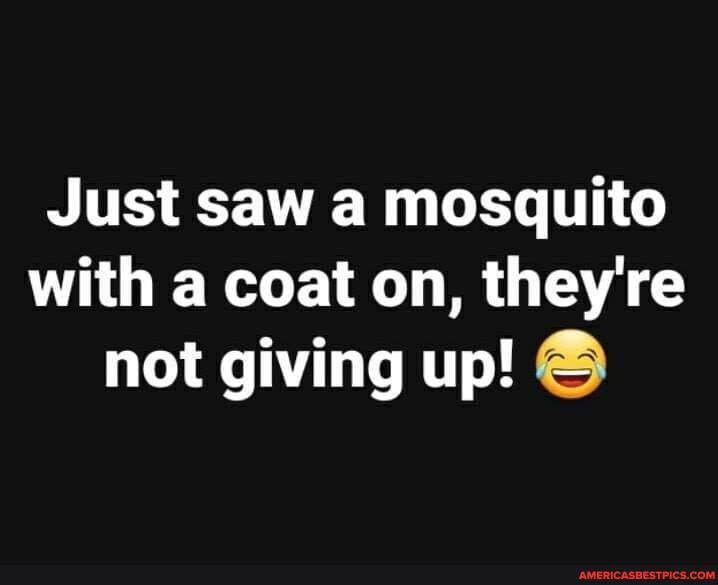 Just saw a mosquito with a coat on, they're not giving up!
