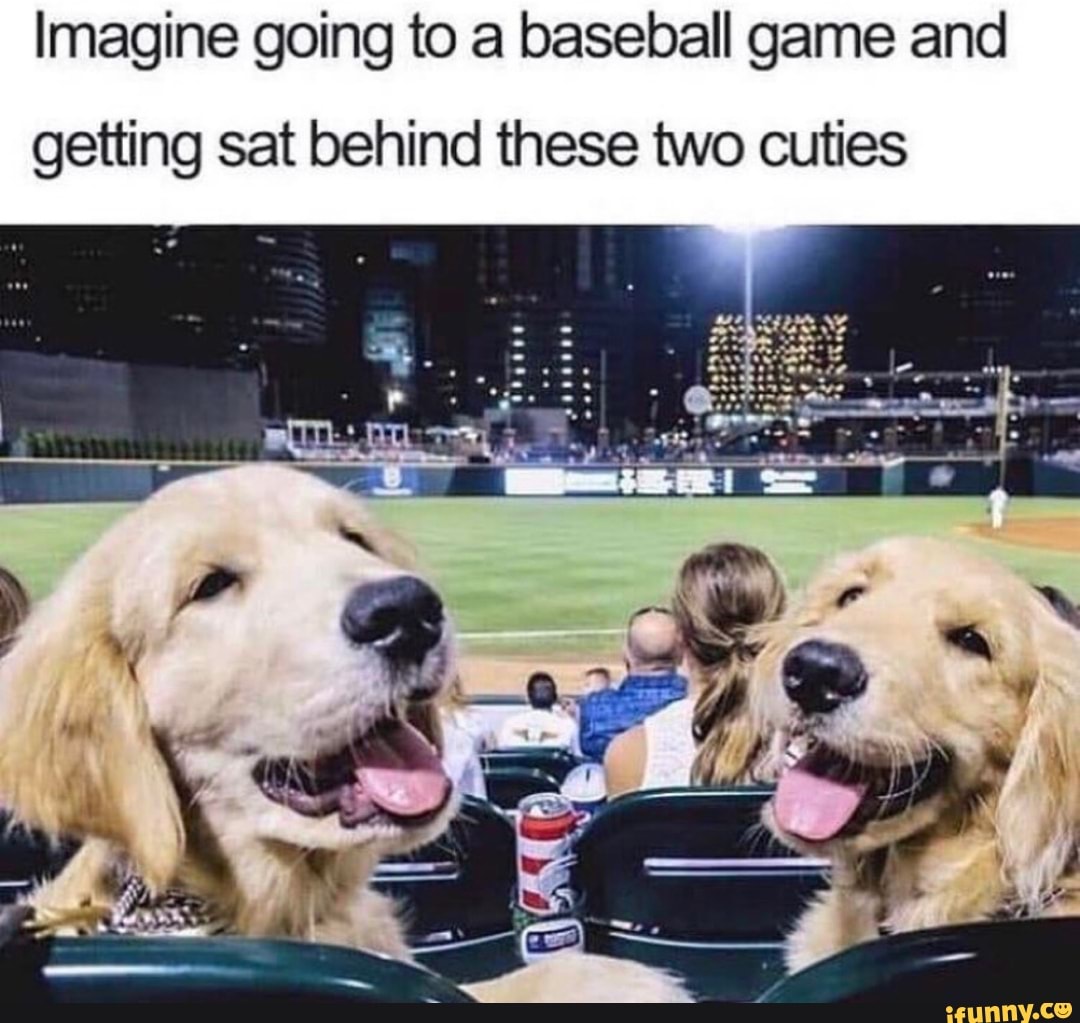 Imagine going to a baseball game and
getting sat behind these two cuties