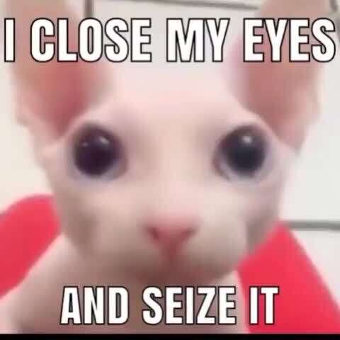I Close My Eyes Qnd Seize It Ifunny