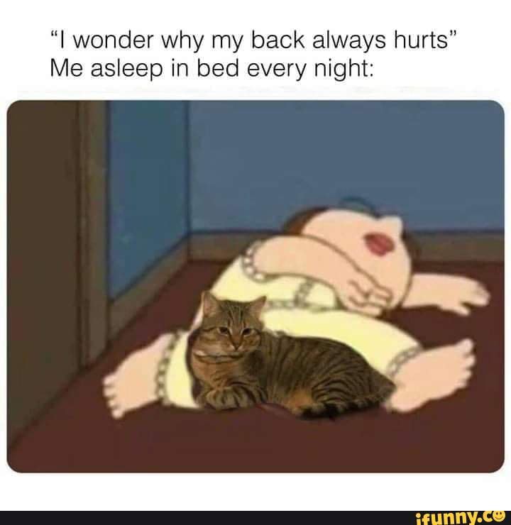 Wonder why my back always hurts" Me asleep in bed every night iFunny