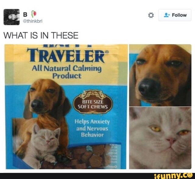 WHAT IS IN THESE TRAVELER'
All Natural Calming
Follow
BITE SIZE SOFT CHEWS
Helps Anxiety and Nervous
Behavior