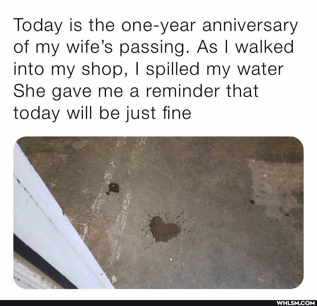 Today is the one-year anniversary of my wife's passing. As I walked into my shop, I spilled my water
She gave me a reminder that today will be just fine