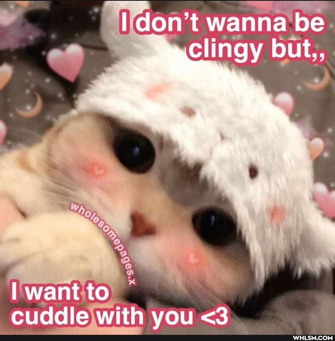 dont wanna be clingy but,,
I want to cuddle with you <3