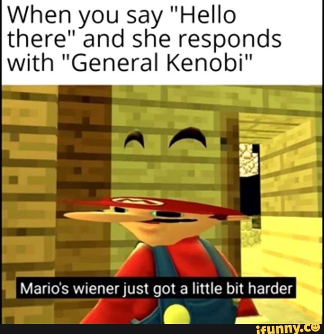 When You Say Hello There And She Responds With General Kenobi Harderl Ifunny